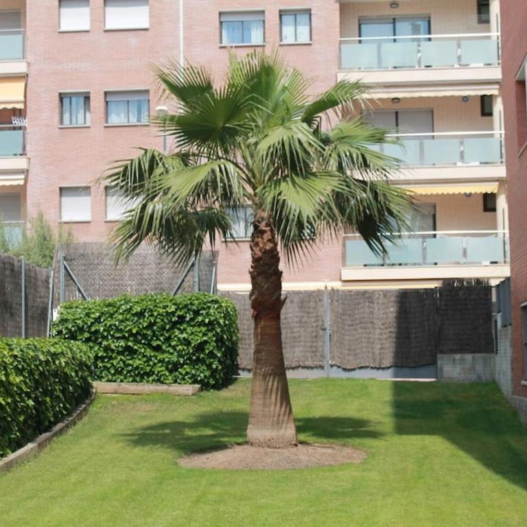 Bonito apartamento a 250m del mar - Apartamento de 2 dormitorios - 14