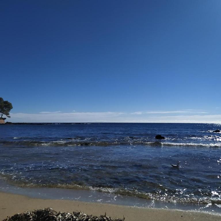 Studio Paradise entre mer et pins - Apartamento de 1 dormitorio - 15