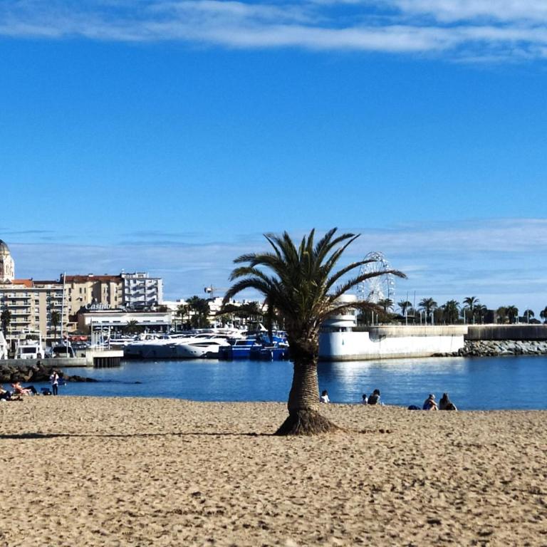 Studio Paradise entre mer et pins - Apartamento de 1 dormitorio - 14