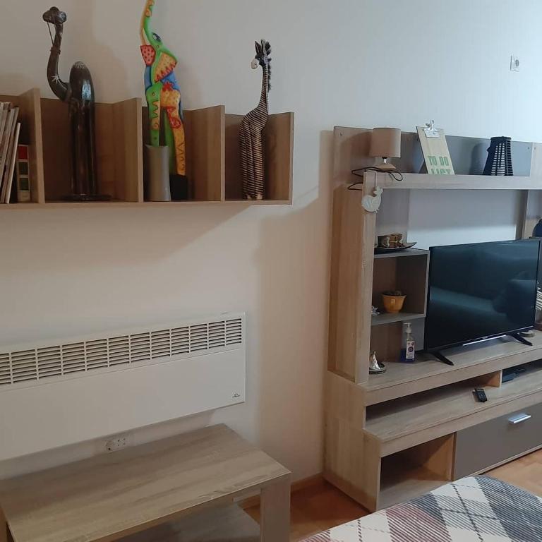 Apartment S&S Budva - Studio Apartman - 5