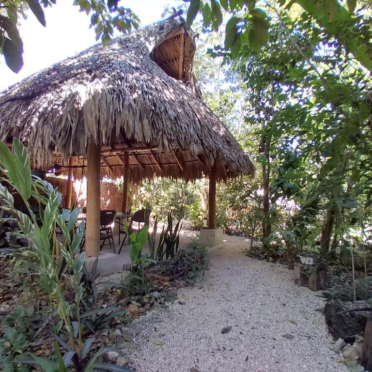 Guarumbo - Tienda - 7
