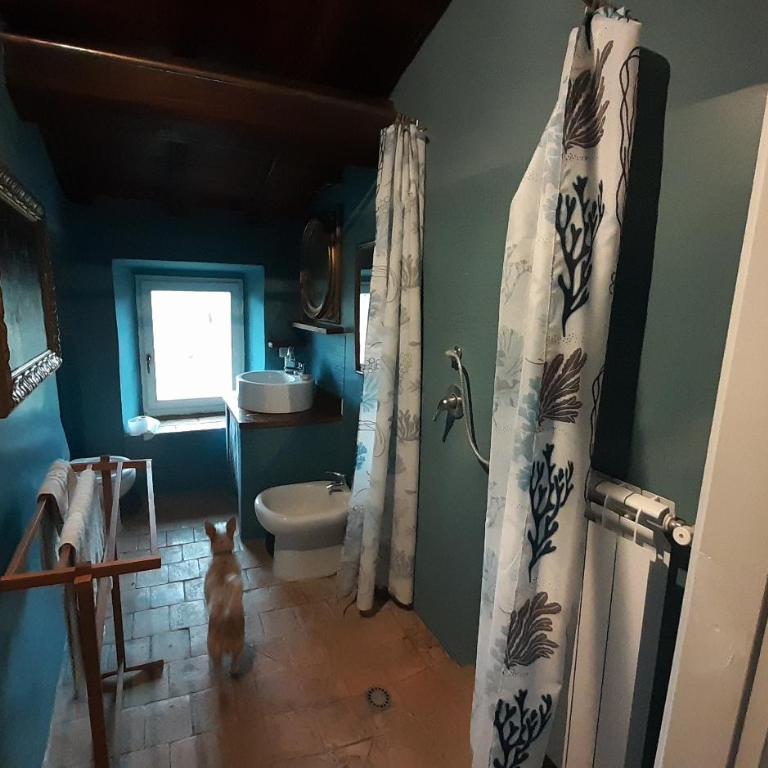Casa del Piano - Casa Vacanze - 19