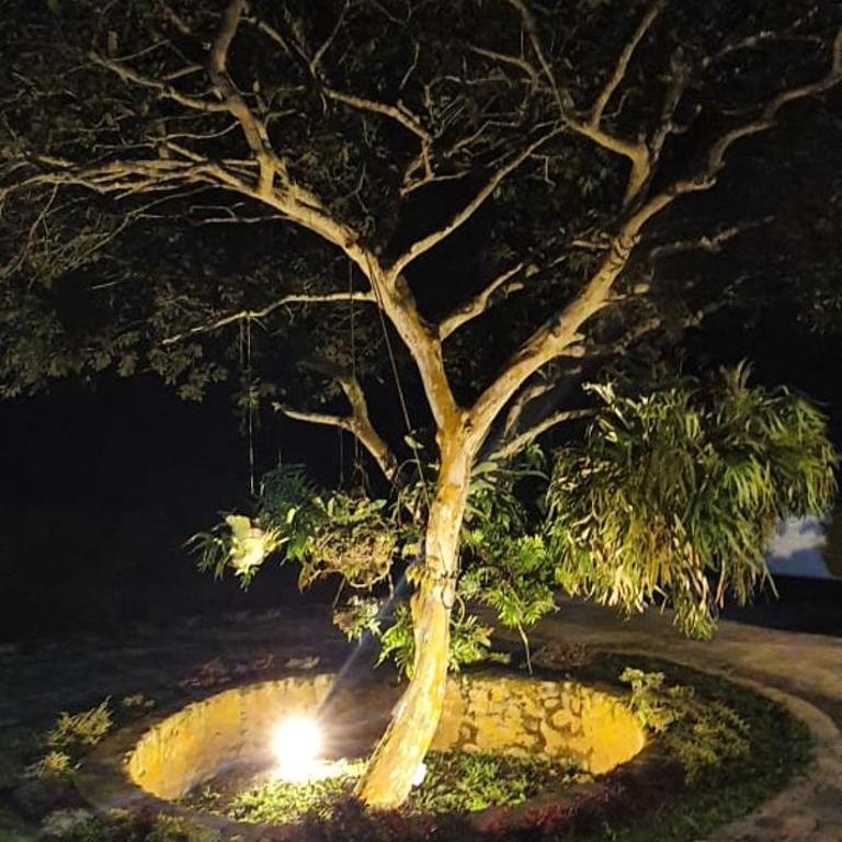 Finca Prometeo - Lago Calima - Casa de 4 dormitorios - 18