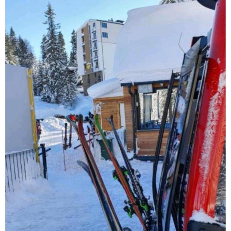 Jahorinska Vila, Apartman Rajski kutak - One-Bedroom Apartment - 14