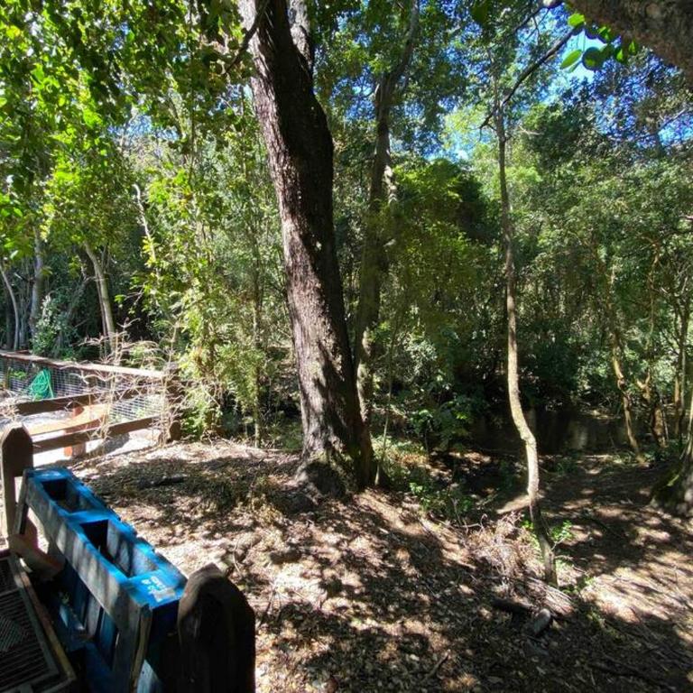Acogedora cabaña al borde del Río Claro - Casa de 2 dormitorios - 21