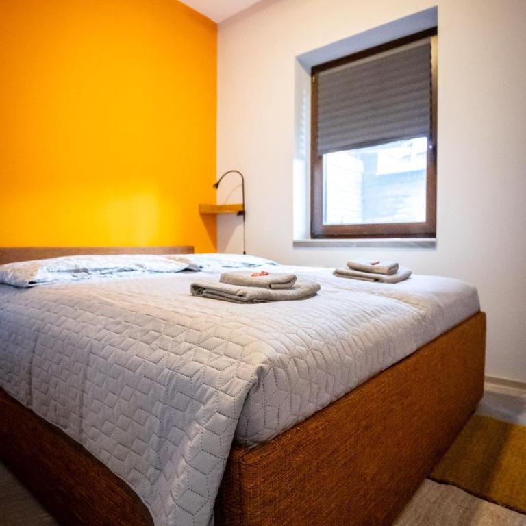 Gray brick - One-Bedroom Apartment - 12