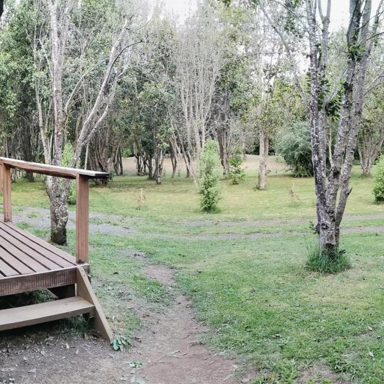Cabaña Rústica Pellin - Two-Bedroom Chalet - 5