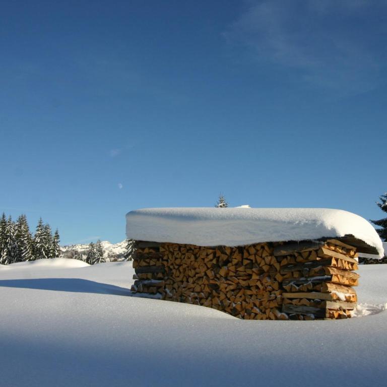 Chalet Génépi - Appartement - 55