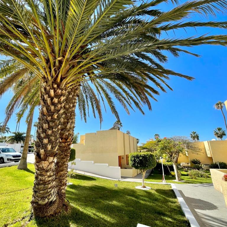 Bungalow El Cortijo Heated Pool Heart of Las Americas Costa Adeje - Apartamento de 1 dormitorio - 25