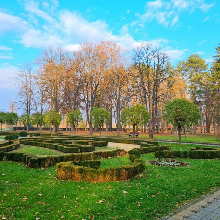 Studio apartman Elena - Banja Koviljača - Apartman sa 1 Spavaćom Sobom - 4