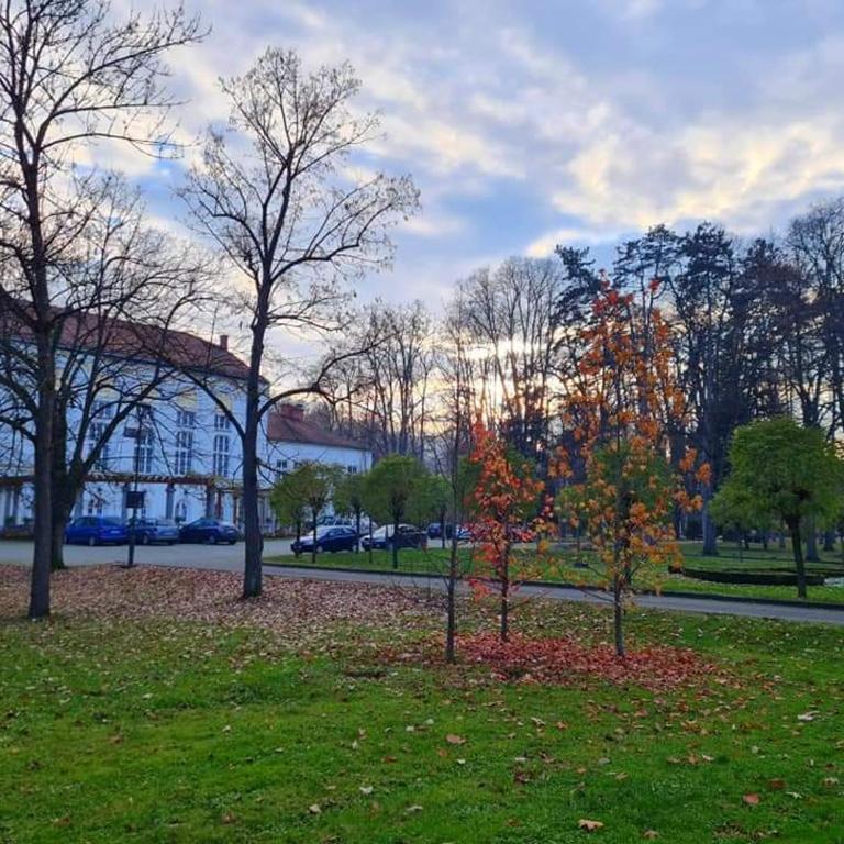 Studio apartman Elena - Banja Koviljača - Apartman sa 1 Spavaćom Sobom - 3
