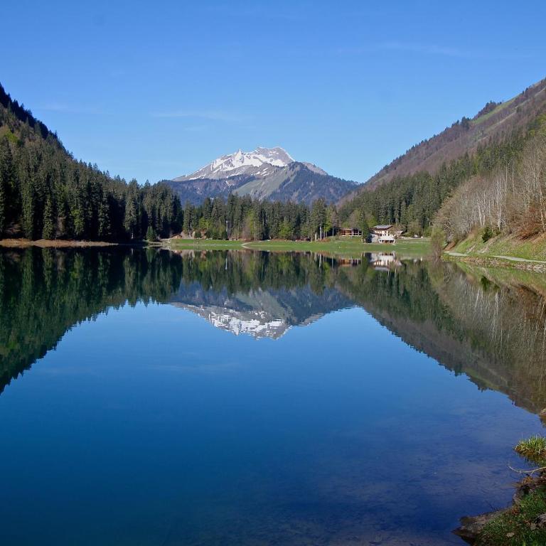Micro-lodge, Le Petit Nid d'Amour - Kleines Chalet - 76