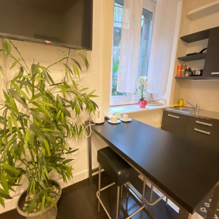 B&B Guest House Du Lac - Standard Studio - 1