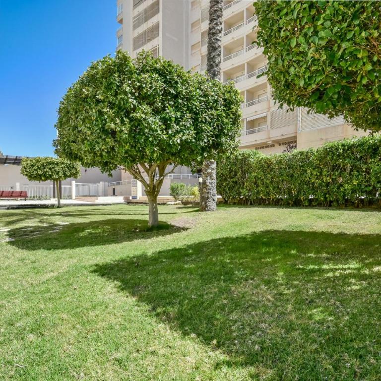 Homeincalpe Apolo XVI 2-15-68 - Apartamento de 2 dormitorios - 13