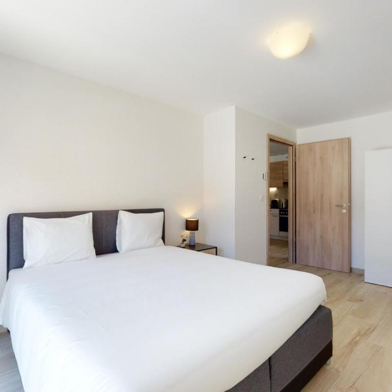 Nonanteneuf appart hōtel Aigle - contactless check-in - Apartment mit 3 Schlafzimmern - 3