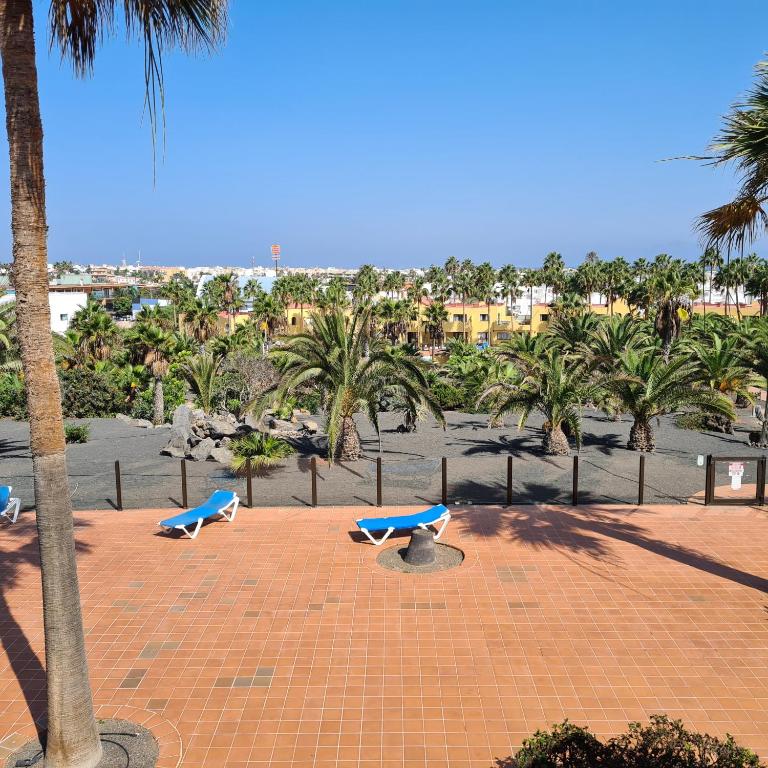 Oasis Royal D311 - Apartamento de 1 dormitorio - 10
