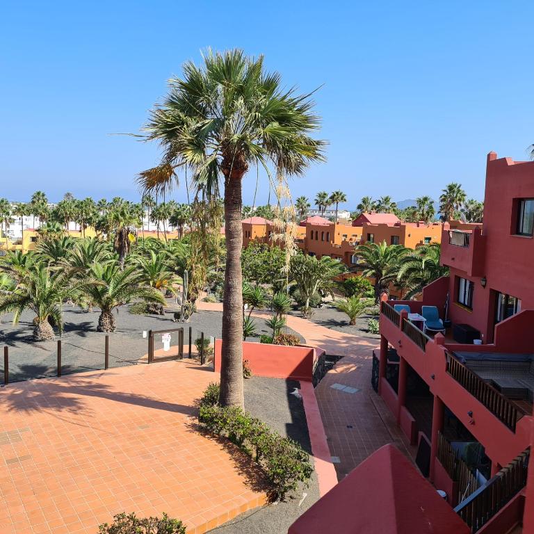 Oasis Royal D311 - Apartamento de 1 dormitorio - 11