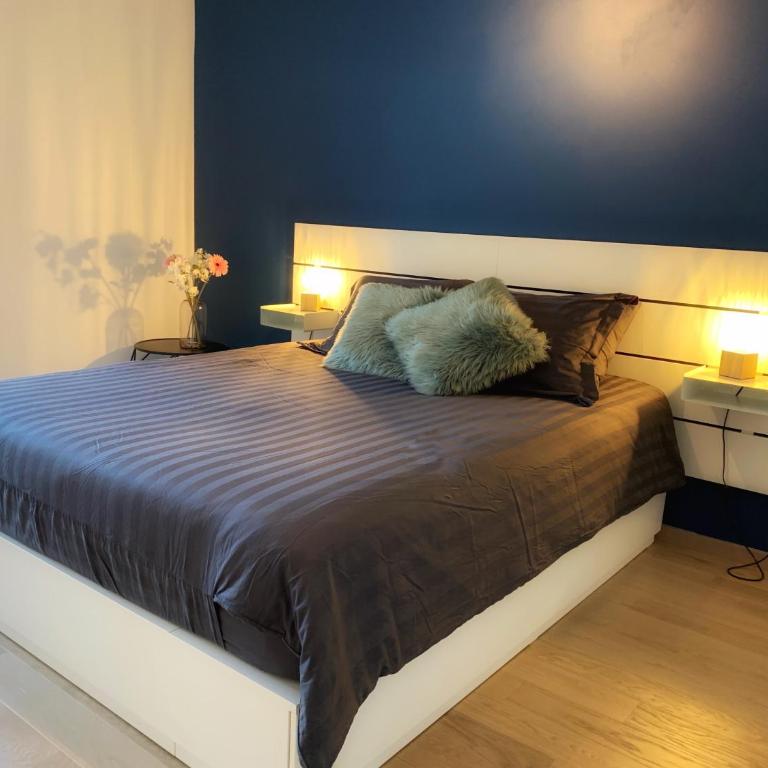 La Légende, 2 pièces avec parking privé gratuit près du lac - Appartamento con 1 Camera da Letto - 9