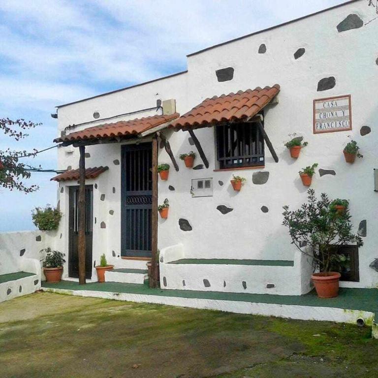 Finca Chona y Francisco - Casa de 2 dormitorios - 39