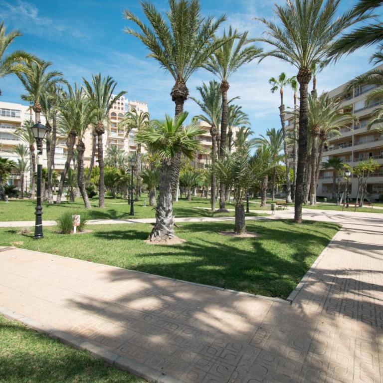 093 - Mil Palmeras Dream - Apartamento con balcón - 28