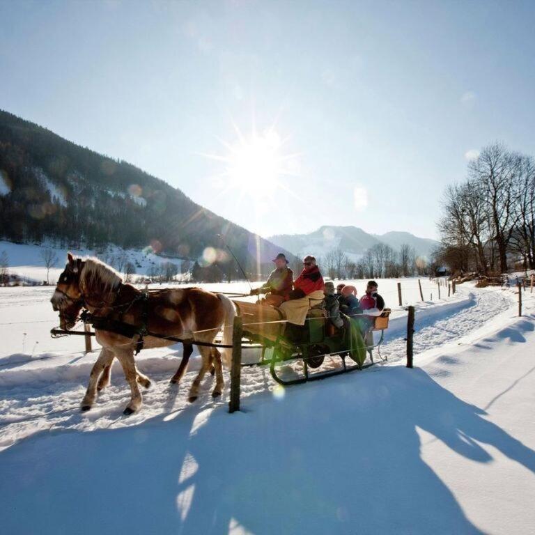 Wellness Chalet Bell a Mur - Chalet - 43