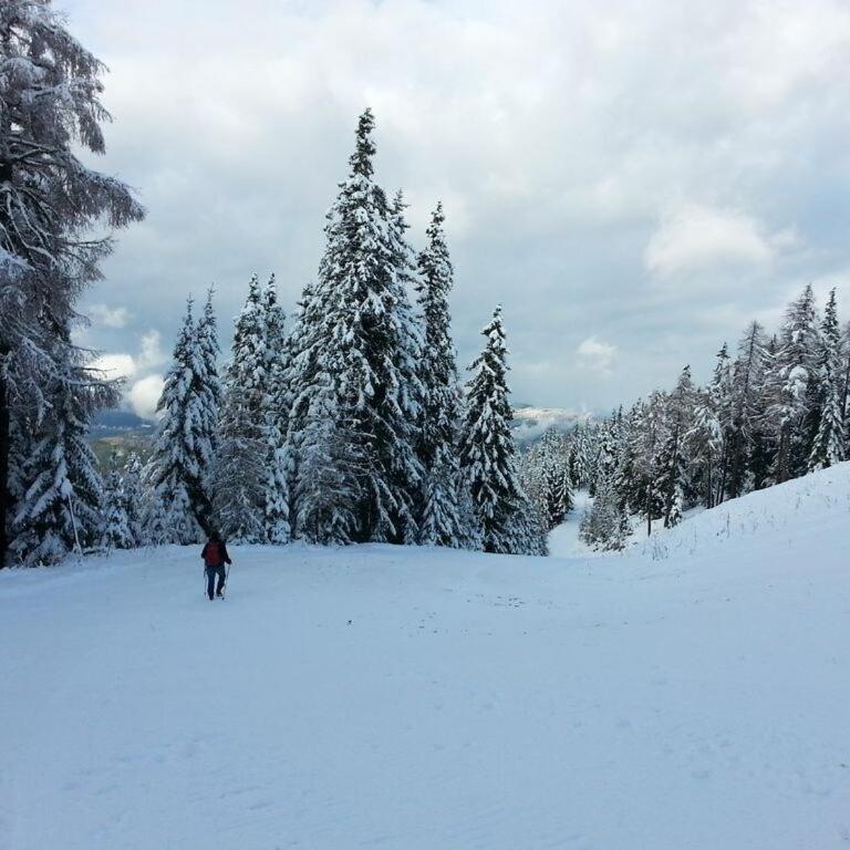 Wellness Chalet Bell a Mur - Chalet - 44