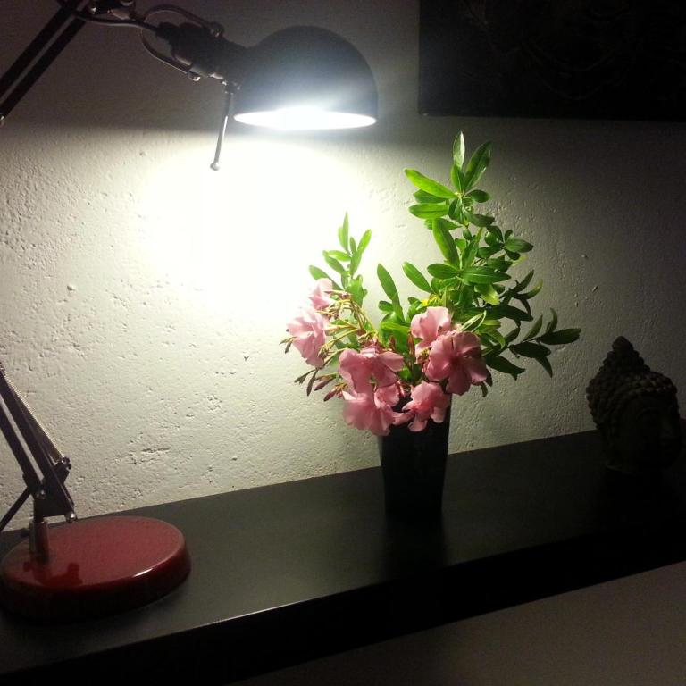 L'Atelier B&B - Esprit bohème, la nature en ville - Vacation Home - 27