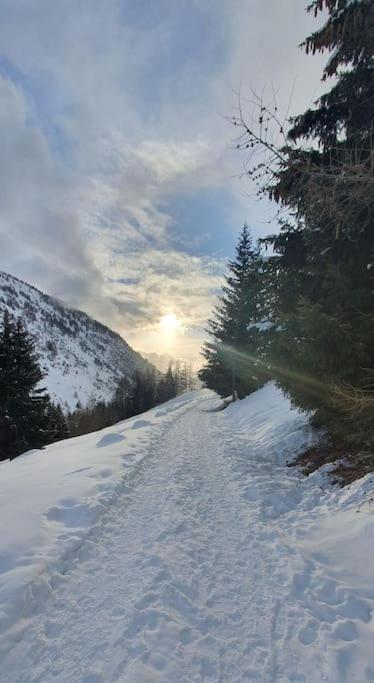 Residenza Sofia - Ponte di Legno fraz. Pezzo - Casa con 2 Camere da Letto - 14