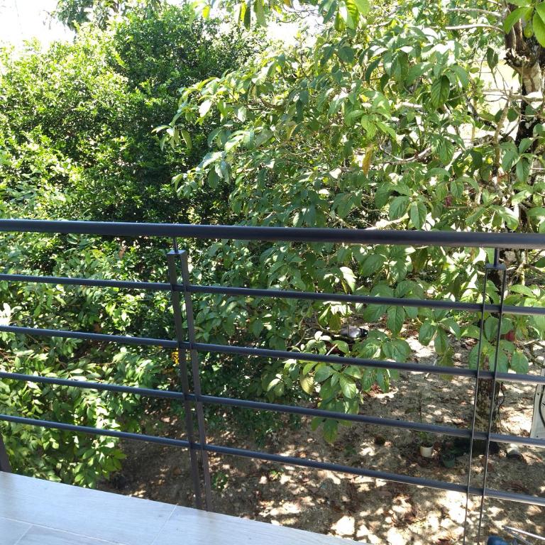 Aparta-Hotel LENEMBERGER - Apartamento con balcón - 9