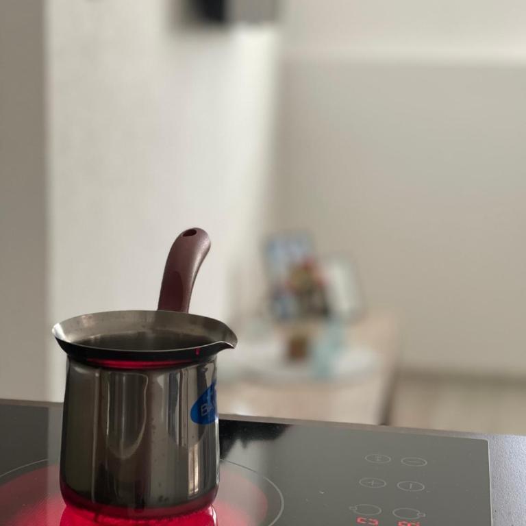 KRAGUJ apartman - Apartman sa 1 Spavaćom Sobom - 4