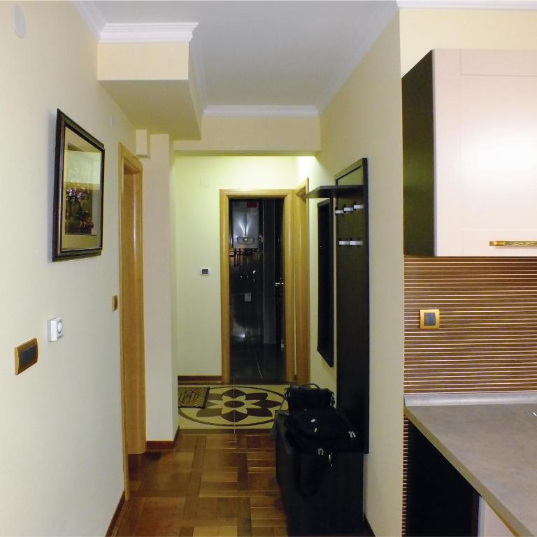Novi Lux Apartmani Maestro - Superior Apartment - 1