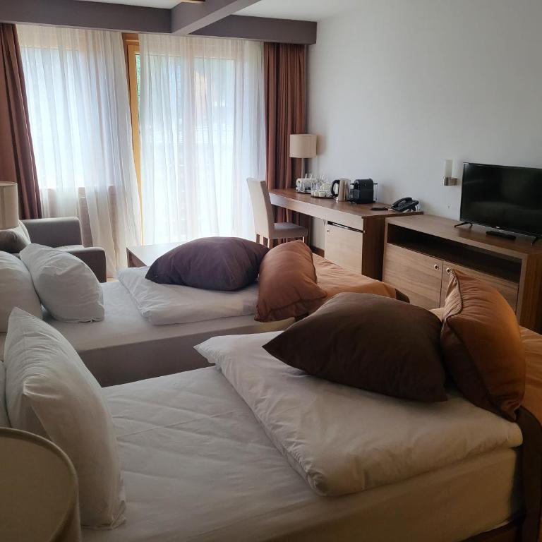 Apartman Tijana - privatni apartman B133 hotel Vučko - Three-Bedroom Apartment - 2