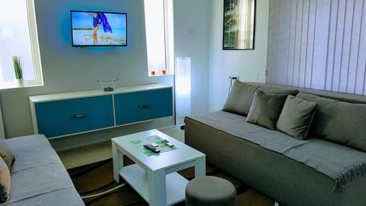 Apartman Ivanovic 6 Sokobanja - Apartman Tipa "Suite" sa 1 Spavaćom Sobom - 11