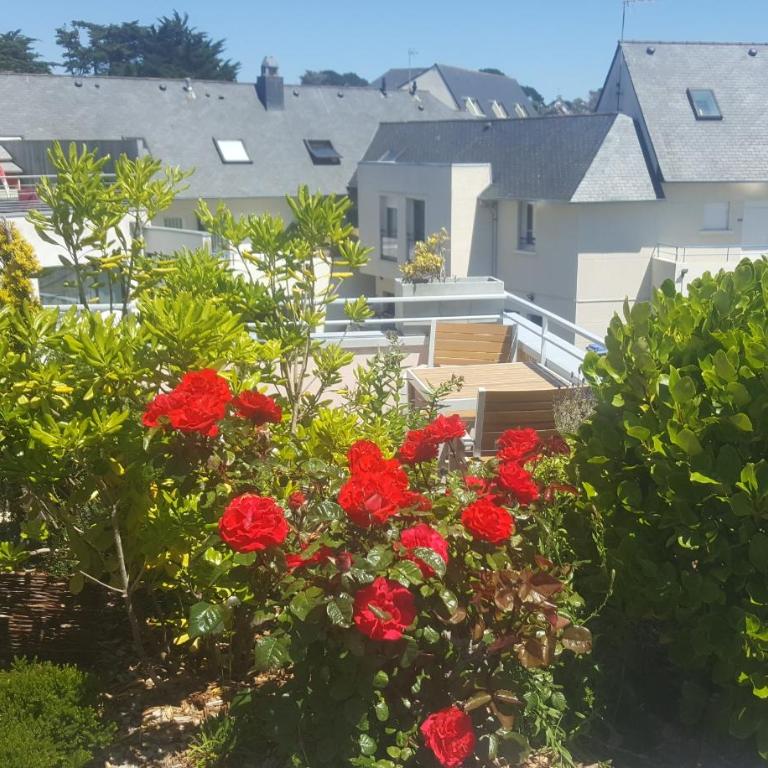 Hotel De L'Europe - Chambre Double ou Lits Jumeaux Supérieure avec Terrasse - 9