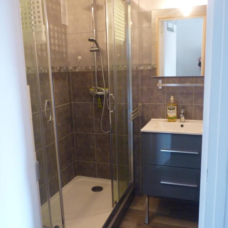 Le Perce-Neige Centre Station - Appartement 2 Chambres - 11