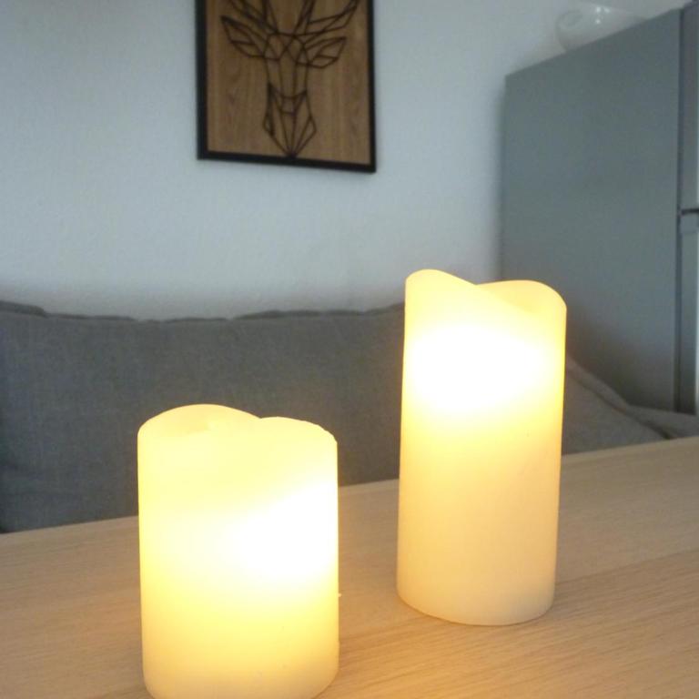 Le Perce-Neige Centre Station - Appartement 2 Chambres - 6