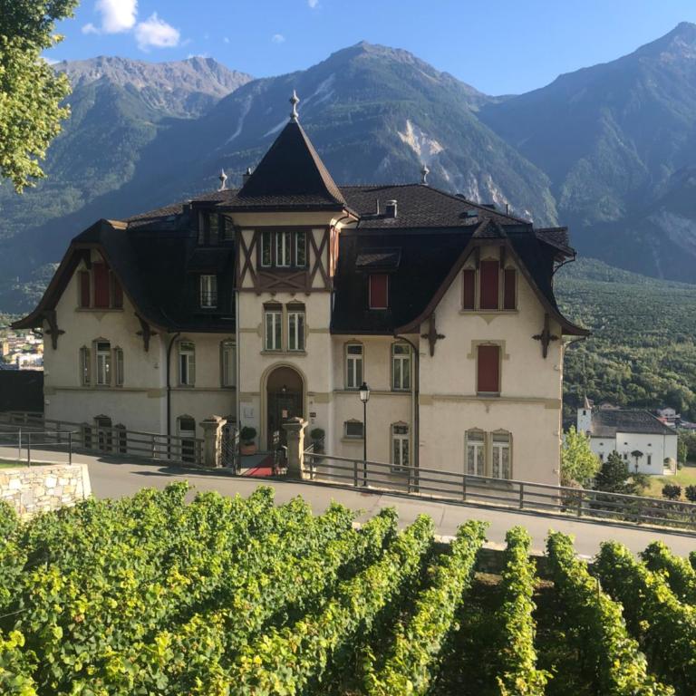 Ferienwohnung Gemmiblick - Appartamento con 1 Camera da Letto - 14