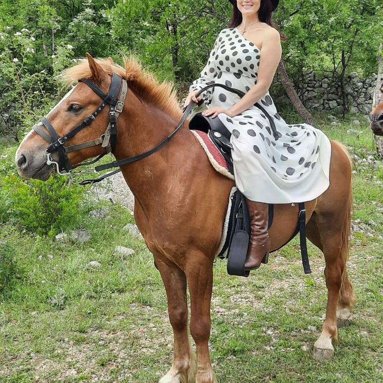 Katun Mokra accommodation & horseback riding - Two-Bedroom Chalet - 53
