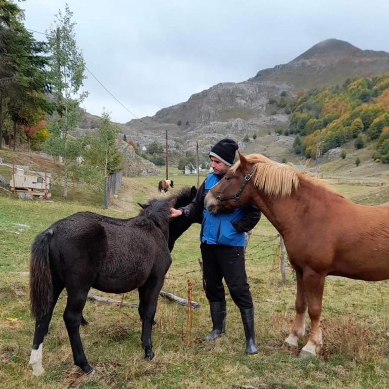 Katun Mokra accommodation & horseback riding - Two-Bedroom Chalet - 51