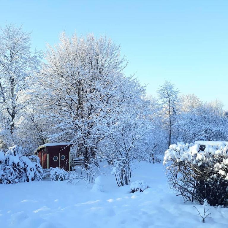 #staywild29 - Gemütliche Ferienwohnung im Allgäu - Apartamento de 2 dormitorios - 17