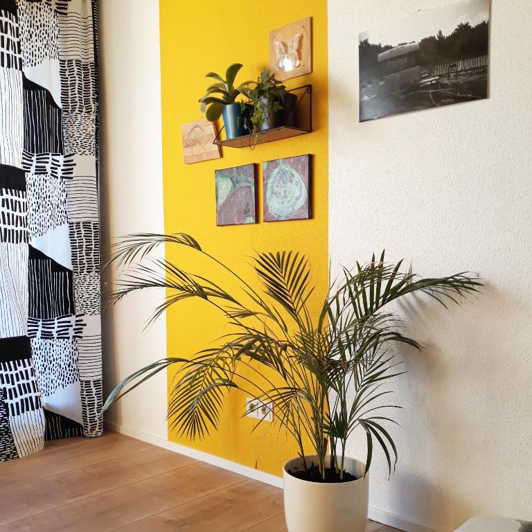 #staywild29 - Gemütliche Ferienwohnung im Allgäu - Apartamento de 2 dormitorios - 15