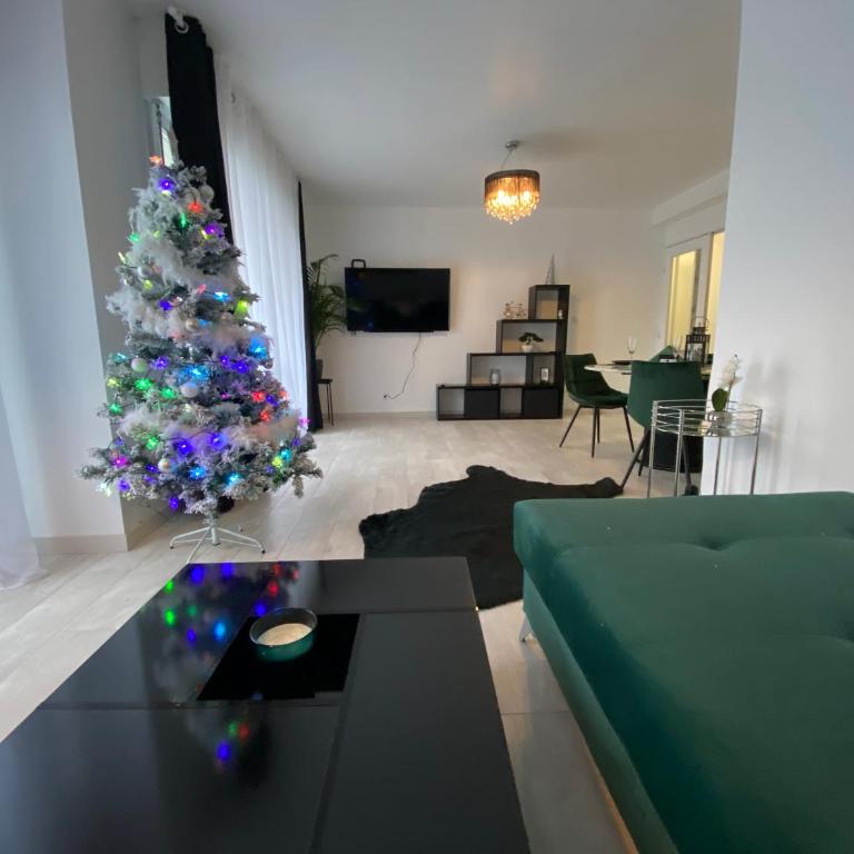 Le Grand DOLLFUS, 90m2 de charme au coeur de ville - Apartment - 23
