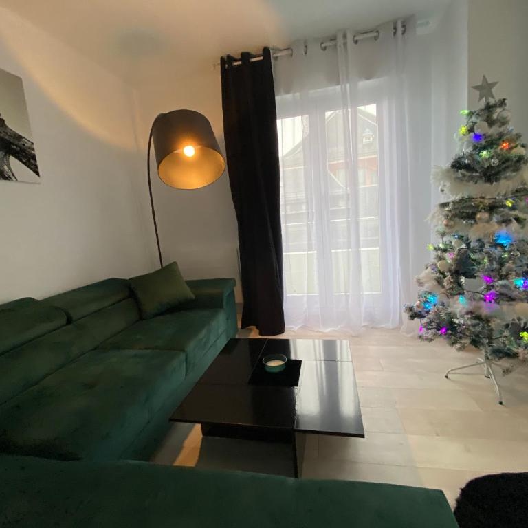 Le Grand DOLLFUS, 90m2 de charme au coeur de ville - Apartment - 21