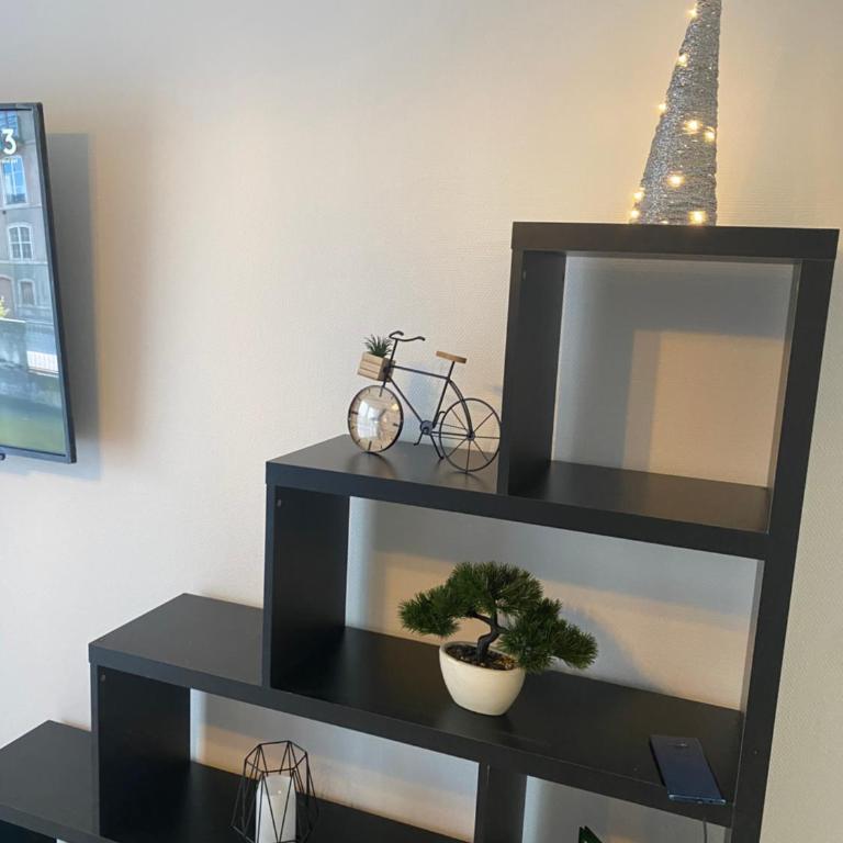 Le Grand DOLLFUS, 90m2 de charme au coeur de ville - Apartment - 17