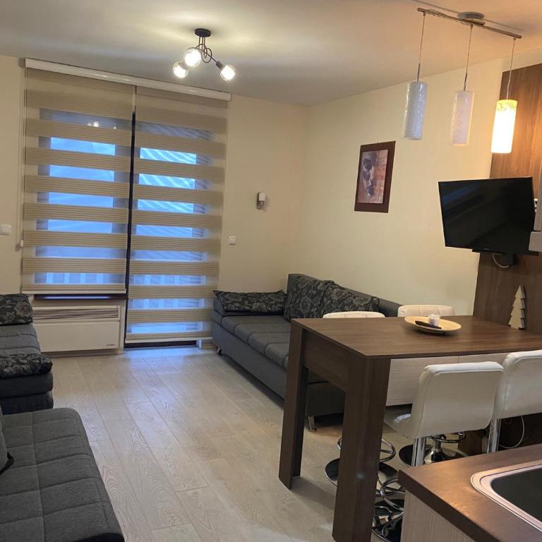 Apartmani u Vili Kopaonik - Studio Apartment - 22
