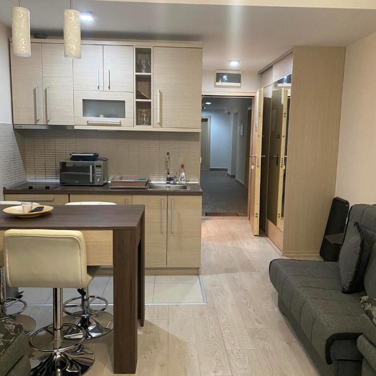 Apartmani u Vili Kopaonik - Studio Apartment - 21