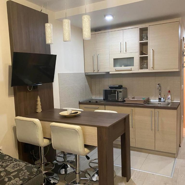 Apartmani u Vili Kopaonik - Studio Apartment - 20