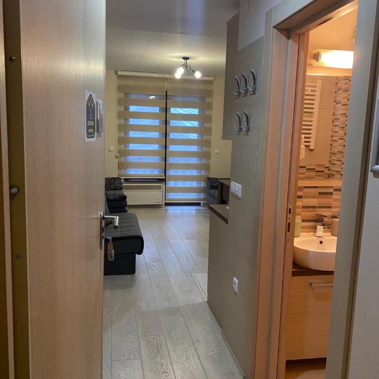 Apartmani u Vili Kopaonik - Studio Apartment - 17