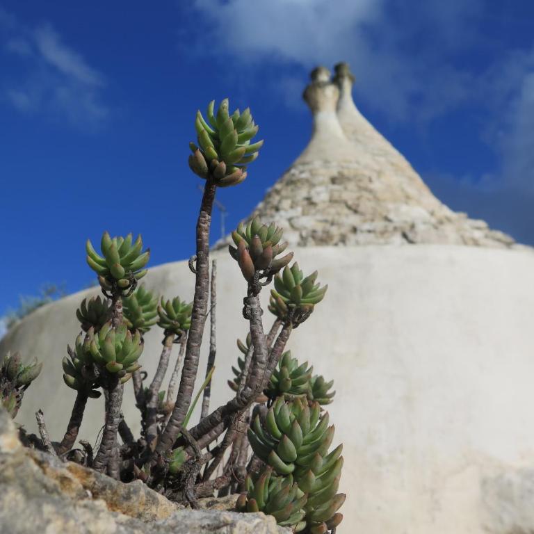 Trullo Felice - Casa con 3 Camere da Letto - 23