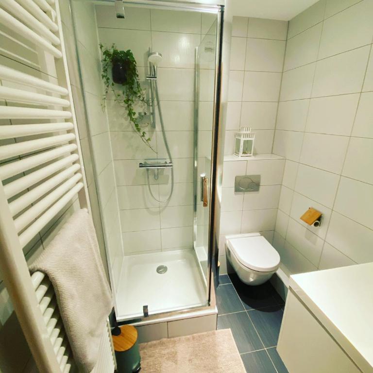 La Silberrunz - One-Bedroom Apartment - 7